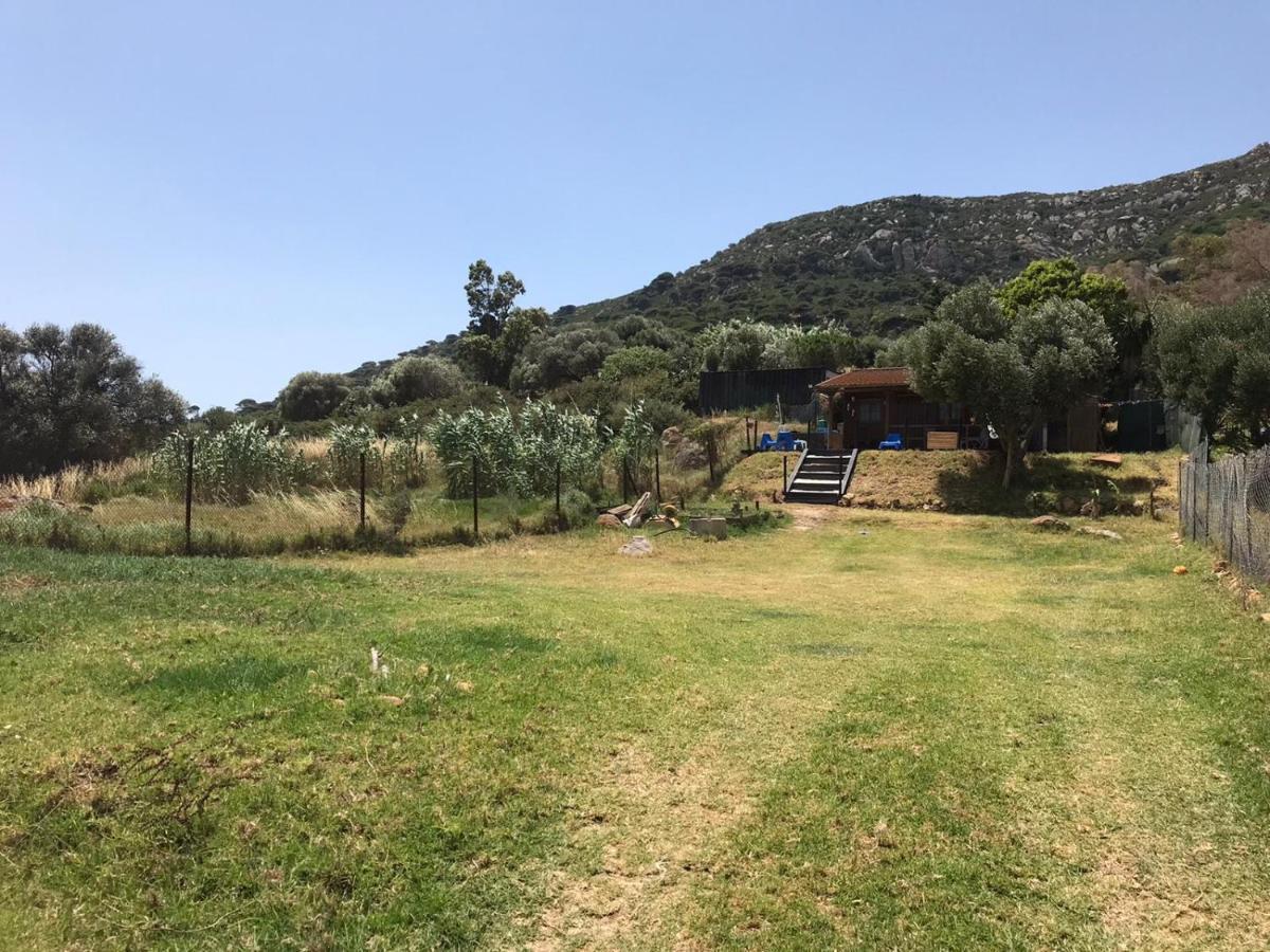 Rustic Cabin Tarifa 4 Guests 10 Minutes To Beach Ngoại thất bức ảnh