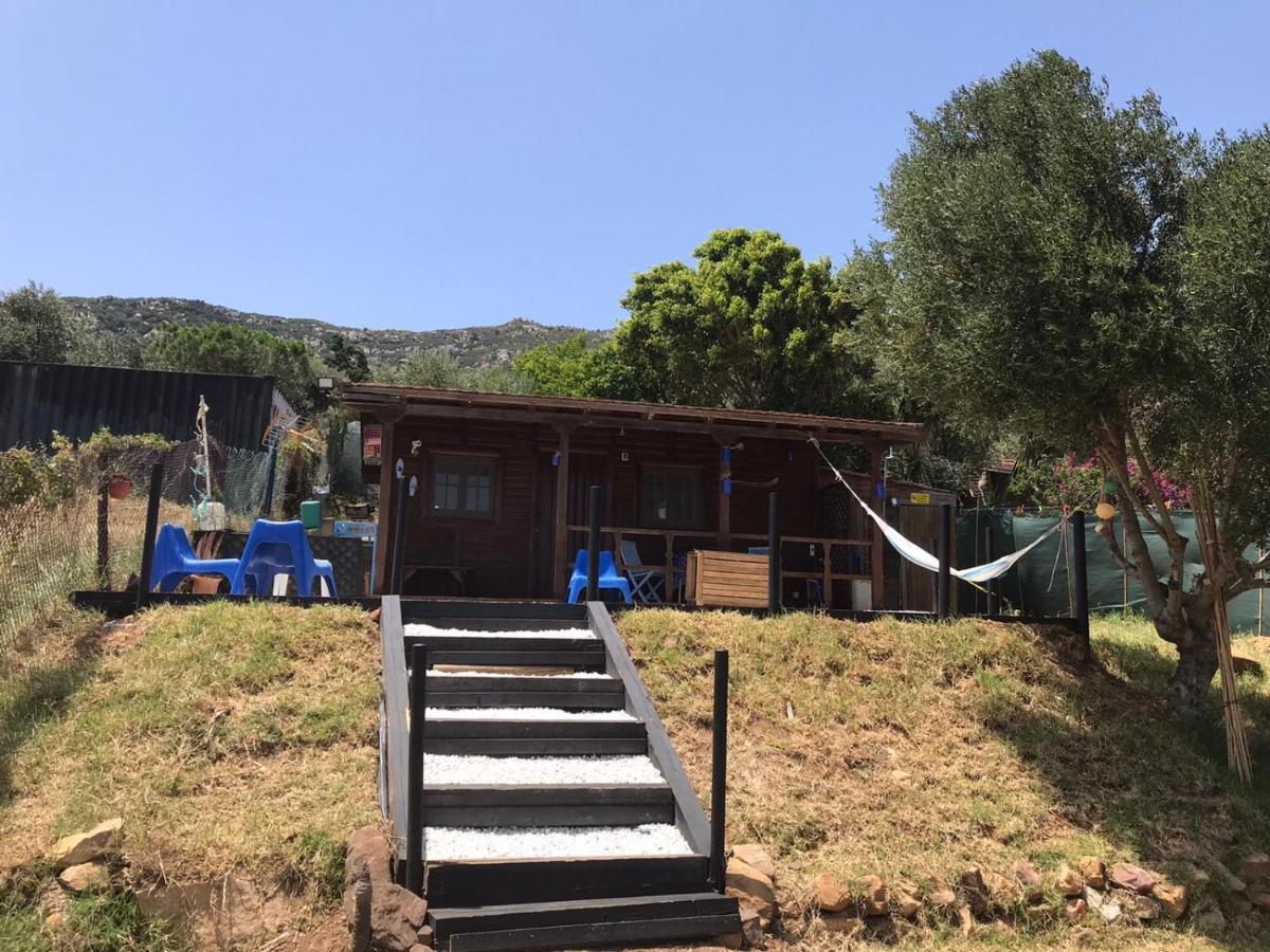 Rustic Cabin Tarifa 4 Guests 10 Minutes To Beach Ngoại thất bức ảnh
